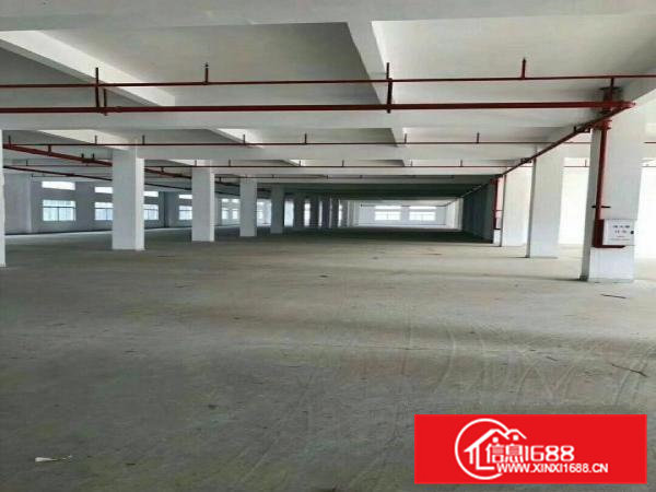 全新独门独院标准厂房招租