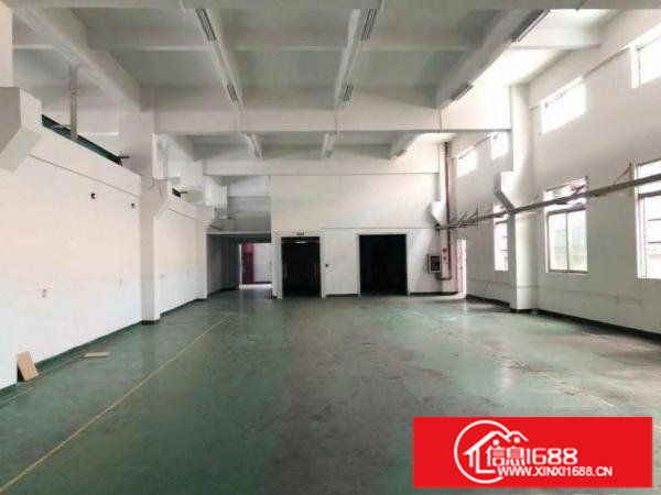 龙岗区南联实际面积出租，1楼800平方高6米，带牛角位