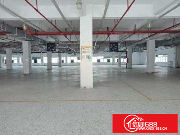 龙华大浪时尚小镇附近楼上2860平花园式厂房出租