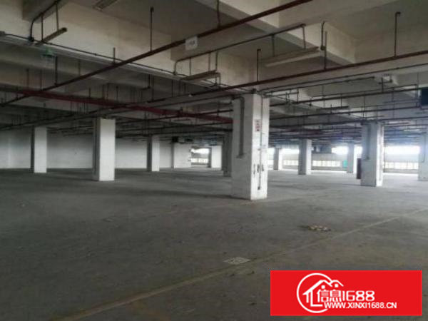 清溪浮岗村一楼标准厂房1500平米出租,可