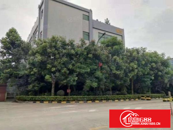 伦教工业区2000平方厂房出租，形象好，国有房产证，租金便宜