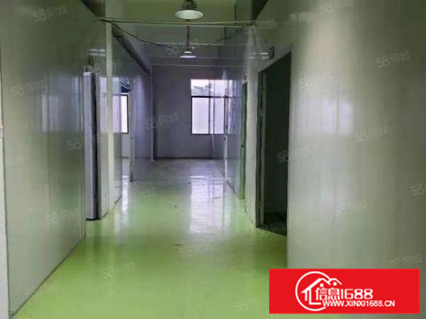 寮步镇凫山村原房东出租3楼1500平方11块钱