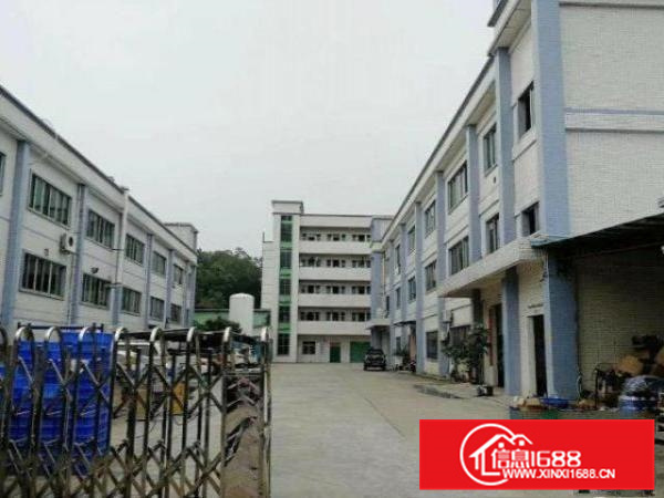 容桂大福基房东直租500平厂房