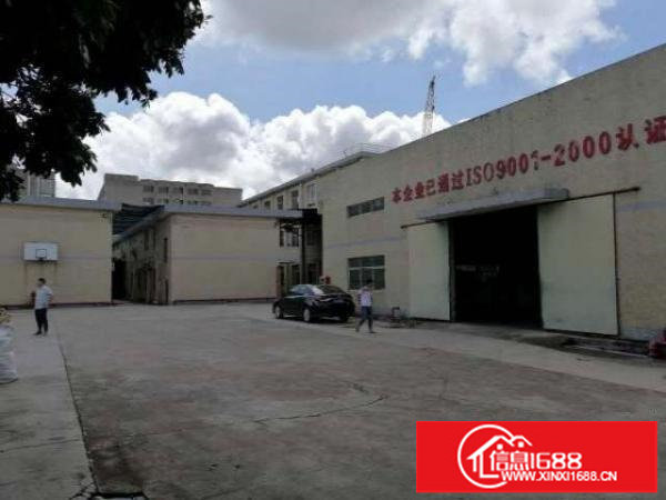 出租坪山区石井路口附近独栋钢构厂房1000平方，高度8米