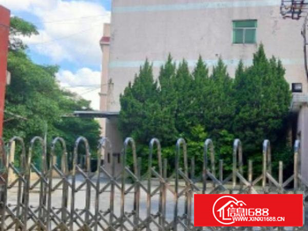 樟木头花园式独门独院厂房