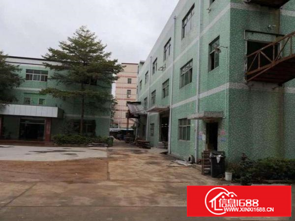 坪山坑梓独门独院厂房4200平方米带独立办公楼招租