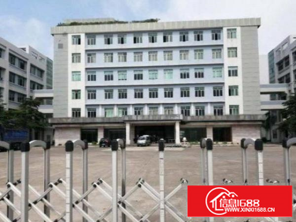 石排赤坎厂房二楼1000平米带装修出租急！