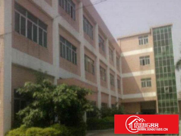 高埗新出标准独院厂房一楼1300平方带精装办公室出租