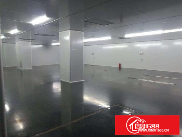 现成无尘车间厂房招租！！！寻找口罩厂家合作，现成设备办公室