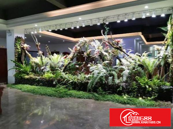 龙华厂房招租500平起租