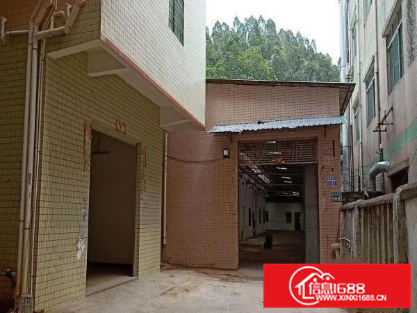 （特价）常平独院标准单一层钢构厂房2000平米，可办环评