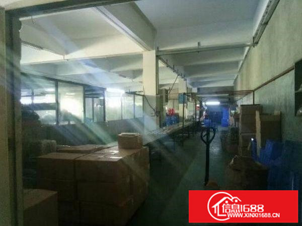 出租布吉西环路楼上800平带装修办公室厂房