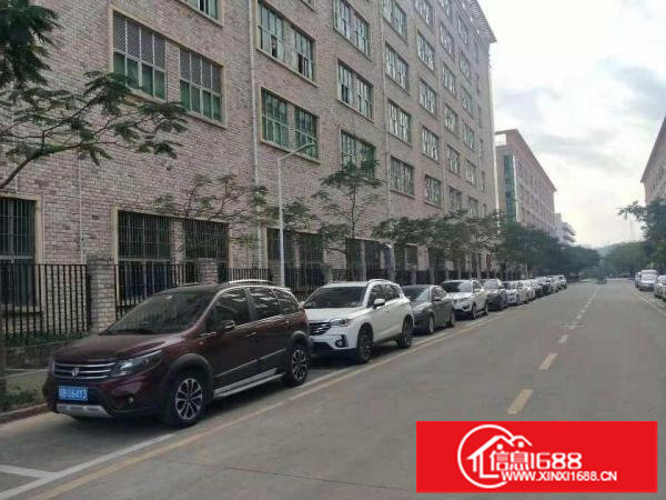 一手房东坪山工业园红本厂房一楼带牛角1900平米高度6.5