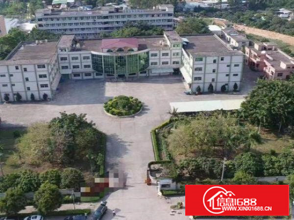 长安镇原房东红本独院厂房18000平，优先整租