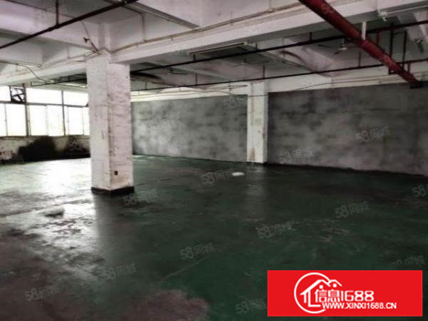 龙华大浪老工业区新出1楼687平标准厂房出租