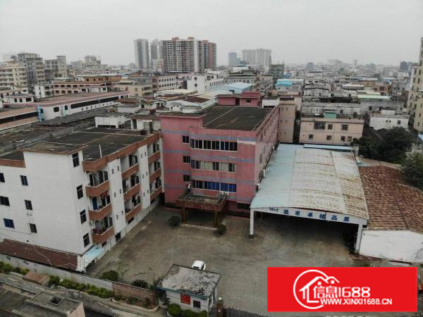 3800平方原房东独院标准厂房出租