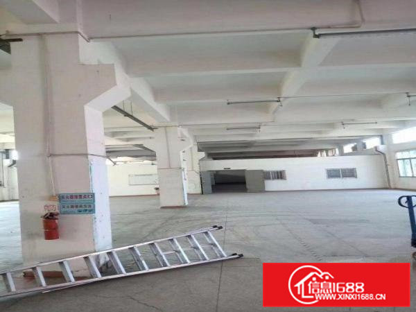 出租大岭山镇大岭山工业区