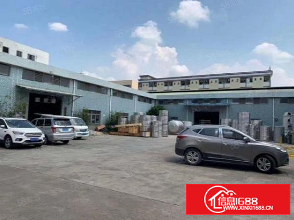 万江莫屋出租单一层厂房800平方空地大滴水7米