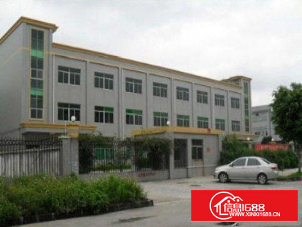 万江石美带现成办公室标准一楼1100平方急租交通方便空地大