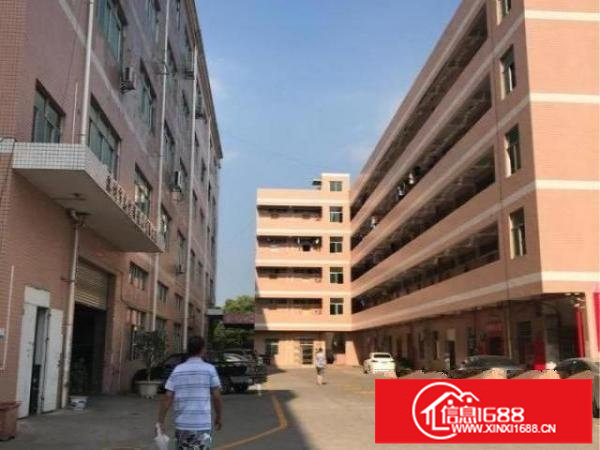 龙岗龙西一楼标准厂房1000平方米出租，带装修