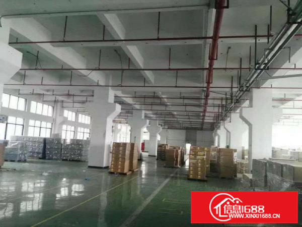 大岭工业区新出一楼精装修办公室1100平方厂房招租