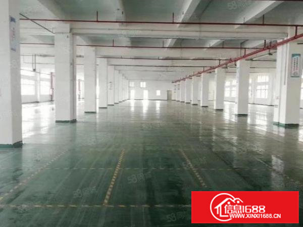 大朗佛子凹新出独院厂房总面积17500平，靠松山湖，可分租