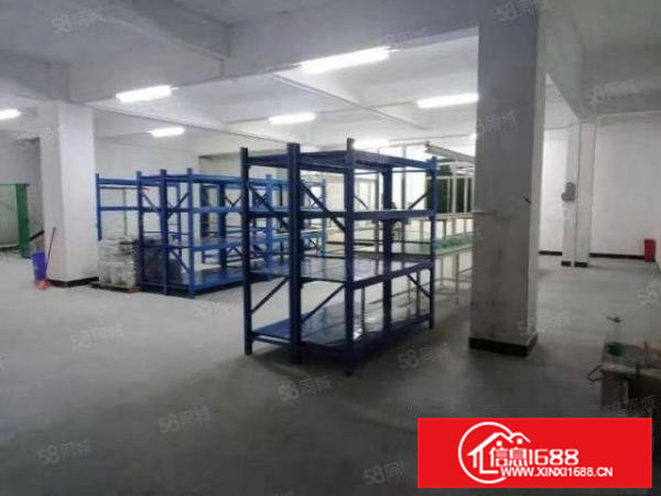 大岭山可分租原房东500平无公摊独门独院厂房出租