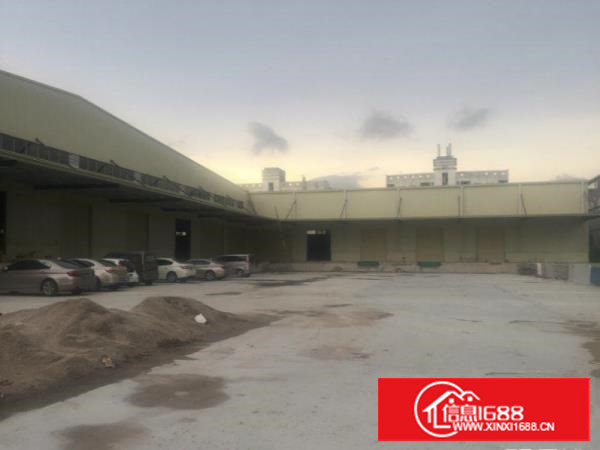 塘厦物流、快递行业福音！1500平米全新钢构厂房