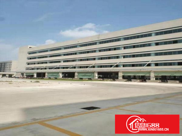 东坑红本厂房新地坪200,400,600,800,1000平