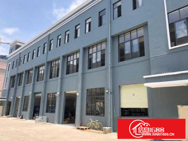 坪山中心区280㎡600㎡电商办公仓库出租。