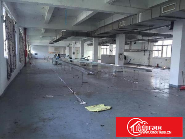 横岗街道办龙岗大道边1128平方带装修厂房出租