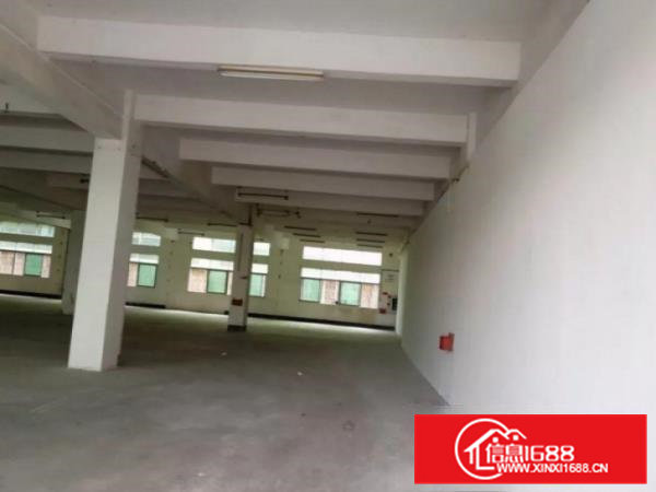 横沥田坑二楼标准厂房1260平方招租