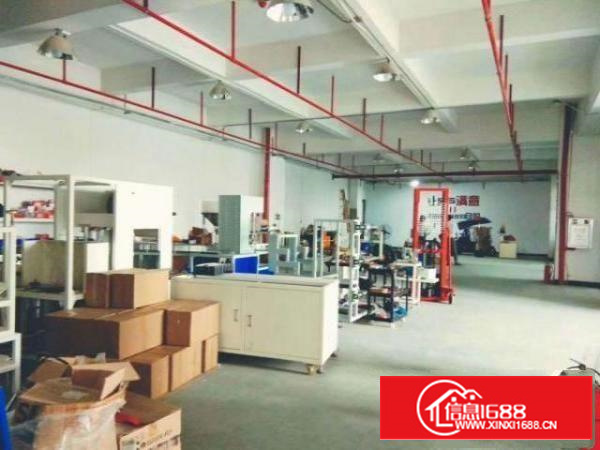 出租石碣石碣城区300平，交通方便。空间舒适，价格便宜