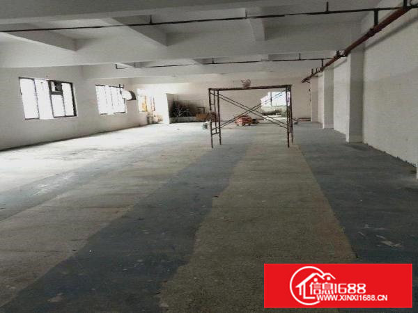 新出工业园一楼500平方