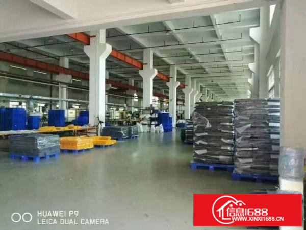 石排镇独院单一层厂房(两万平方)出租可整租分租