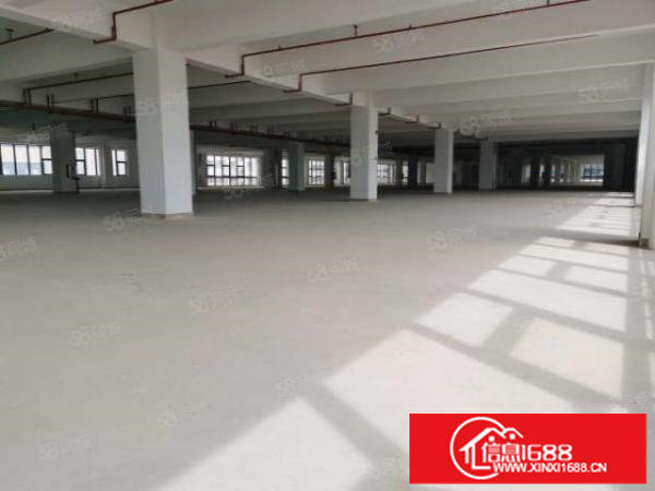 200平方起租布吉工业区整栋厂房出租转租无尘车间出租