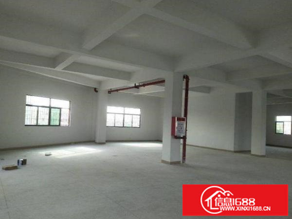 横岗水官高速原房东标准厂房450平方现成装修价格便宜出租
