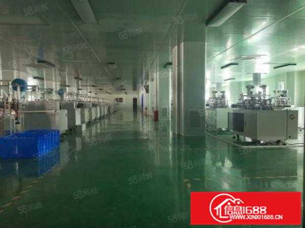 龙岗坪地新出净化无尘车间1500平