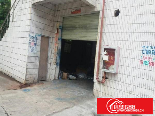 同乐高速路口标准一楼380平方19元出租