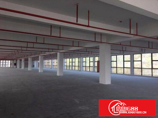 龙岗低碳城产业园红本厂房25800平方出租，可分租