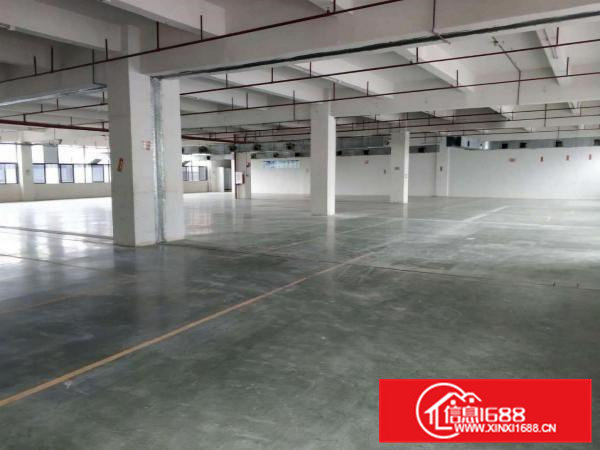 价格便宜带装修消防喷淋凤岗五联楼上厂房出租2000平方