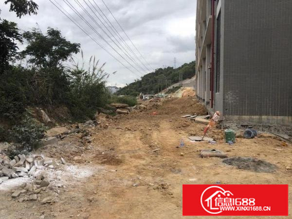 横岗靠近布吉地铁口全新红本原房东空地大享受租金补贴可以分租