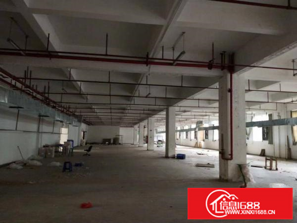 仲恺沥林半沥一楼800平米出租。