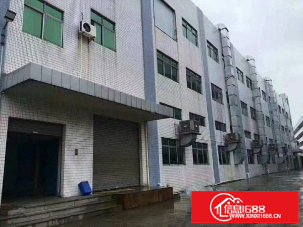 惠阳新圩独院厂房单层4800平带电梯可分租