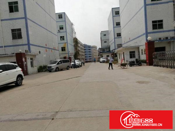 龙岗中心城五联标准一楼1450出租