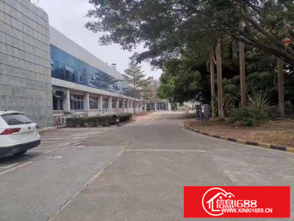 坂田五和地铁口一楼厂房200平300平500平1000招租