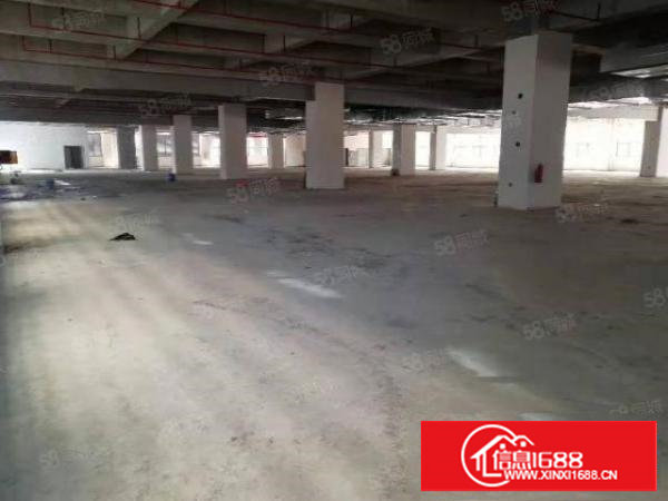 塘厦沙湖全新厂房隆重招商，1000平起租