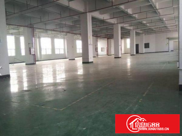 出租龙岗区坪地楼上1260平精装厂房