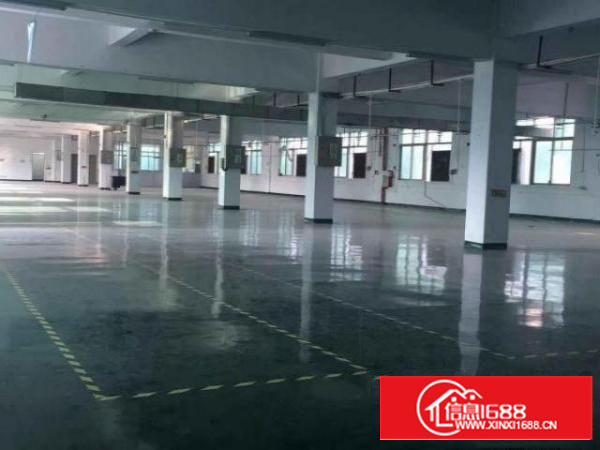 高埗新出独院标准2楼整层1950平方厂房带现成装修出租