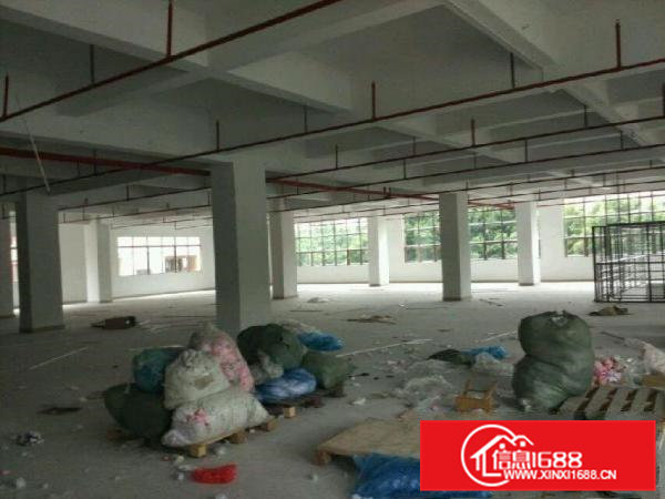 石排独院厂房出租2200平方